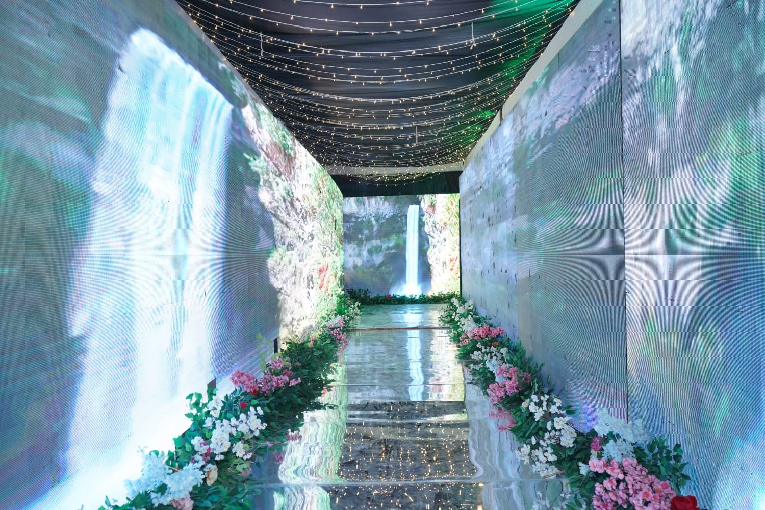 Our Gallery